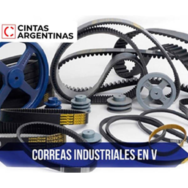 correas en v_0002_Capa 2
